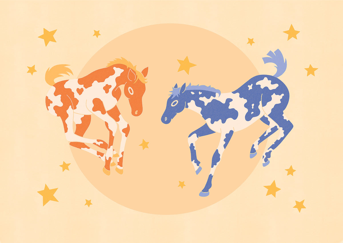 horses B6